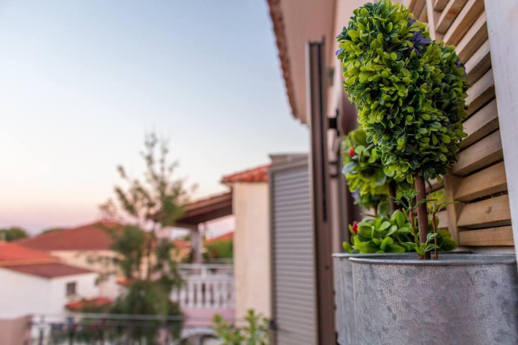 Nadia A Apartmán Kalamaki (Zakynthos)